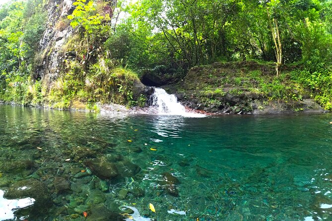 Tahiti excursion adventure circuit MTB MTB E-Bike private valley - Cooling off at the Bassin du Roi
