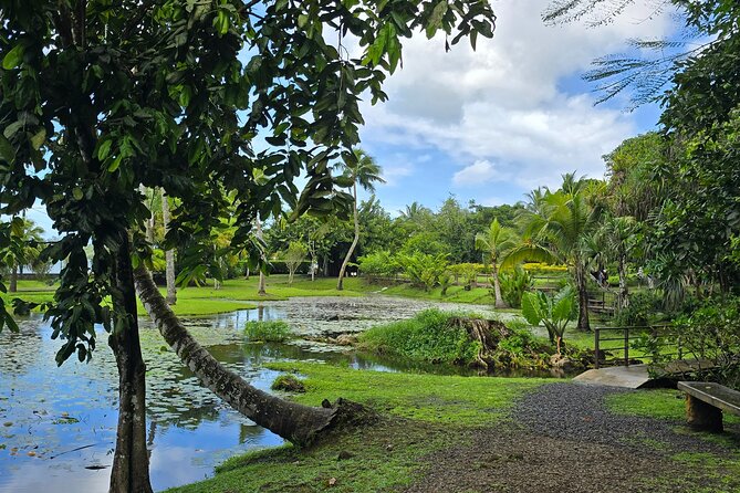 Tahiti Full Day Private Coastal Tour - Papeete viewpoint: a quick start with useful bearings