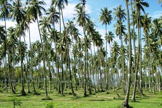 Tahiti: Full Day Tour of the Island - Faarumai Waterfalls bring the jungle close