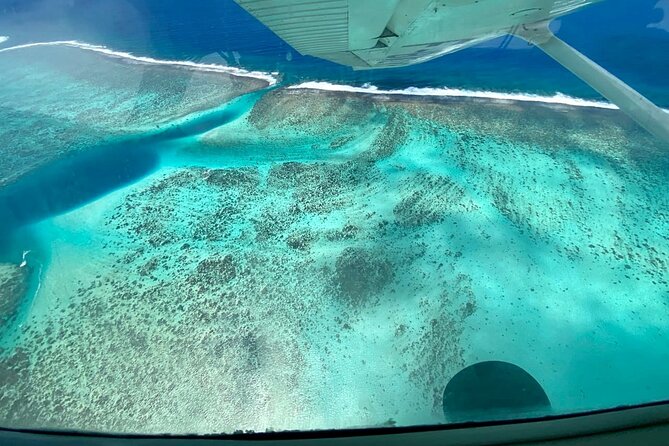 Tahiti: Full Day Tour with Private Flight EN Cessna (Moorea & Tahiti) - Maraa Grotto, the final natural stop