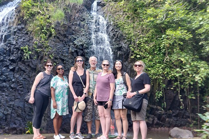 Tahiti Half Day Coastal Private Tour - The value of a $580 private vehicle