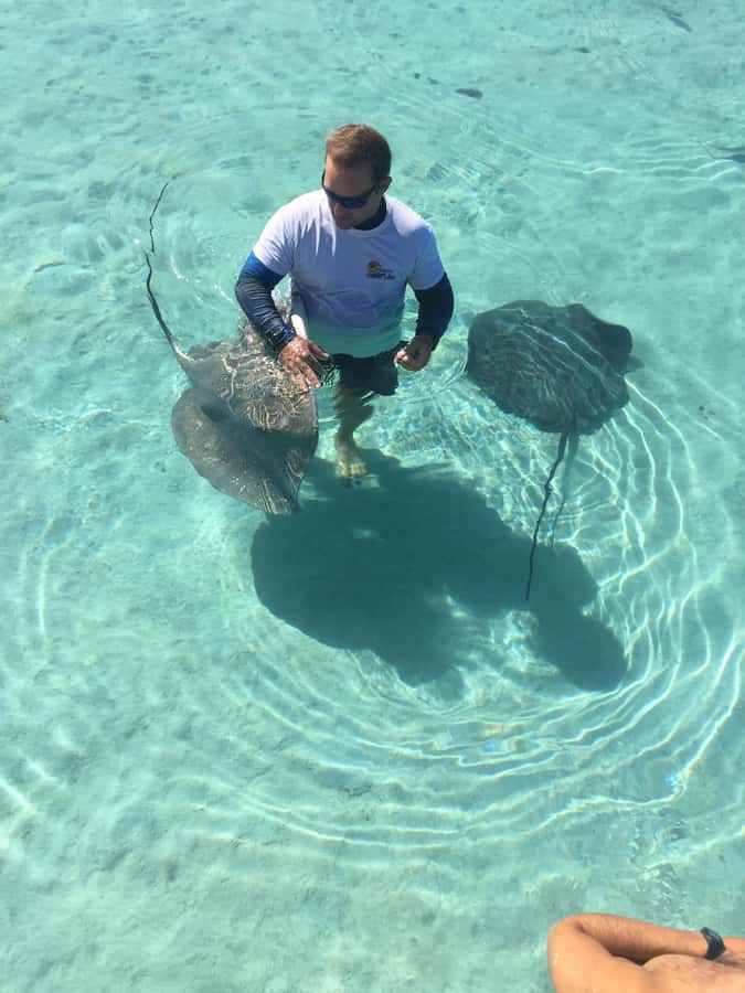 Tahiti island: 4 hours Snorkeling Tour - What the four-hour outing is really like