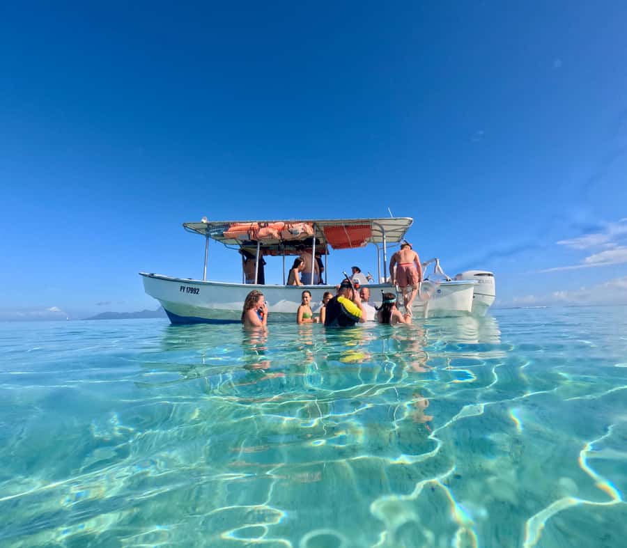 Tahiti island: 5 hours Snorkeling Picnic - Pickup rules need careful attention