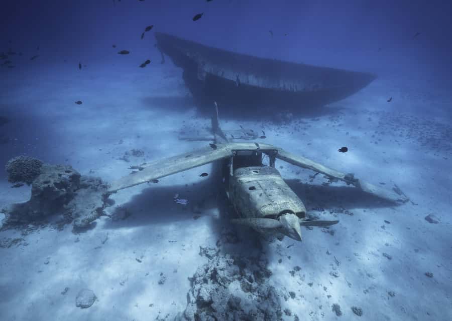 Tahiti island: 5 hours Snorkeling Picnic - Who will enjoy this trip most