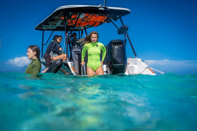 Tahiti Lagoon Snorkeling and Lunch Boat Tour (6 pax max) - What the boat and equipment add