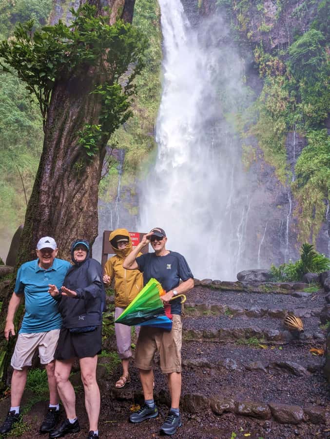 Tahiti: Northeast Coast Waterfalls&Viewpoints Half Day Tour - Why the northeast coast is worth your half-day