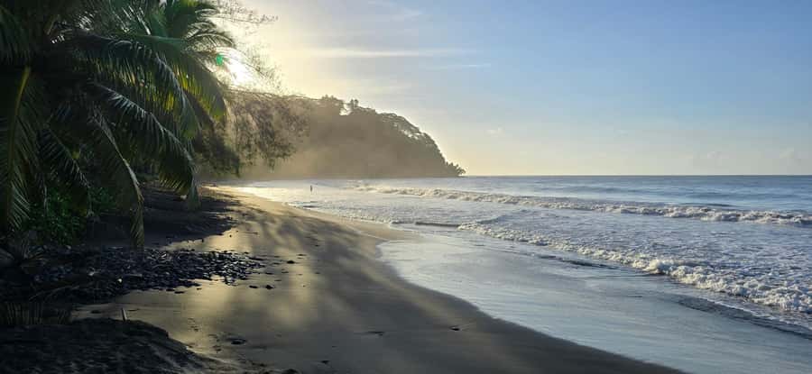 Tahiti: Northeast Coast Waterfalls&Viewpoints Half Day Tour - Faarumai Waterfall and a short forest walk