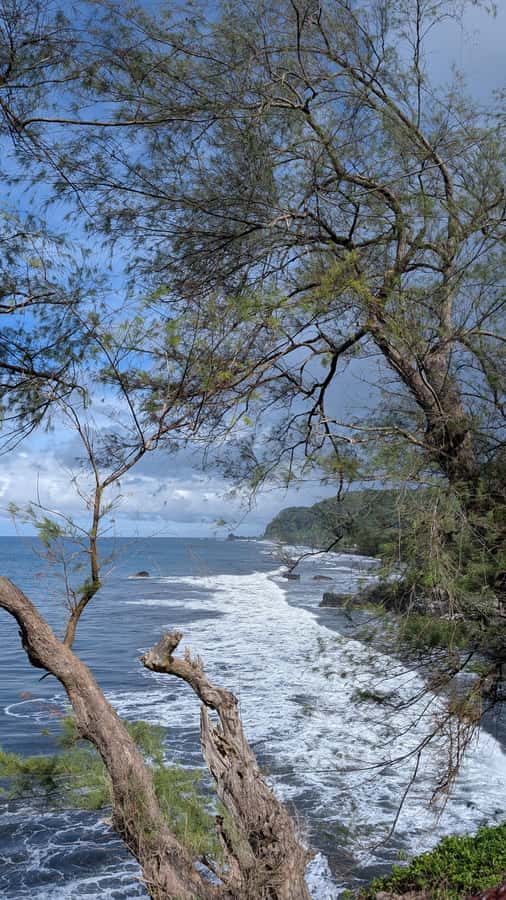 Tahiti: Northeast Coast Waterfalls&Viewpoints Half Day Tour - Tahara’a Lookout and the final view over Matavai Bay