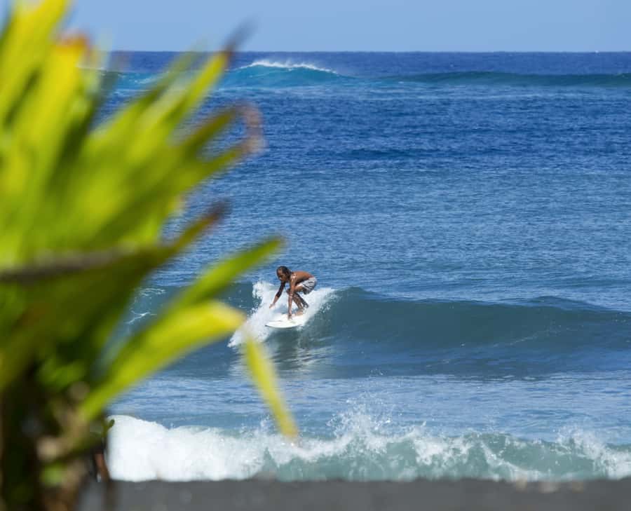 Tahiti: Private Half Day Culture and Nature Highlights Tour - Key points at a glance