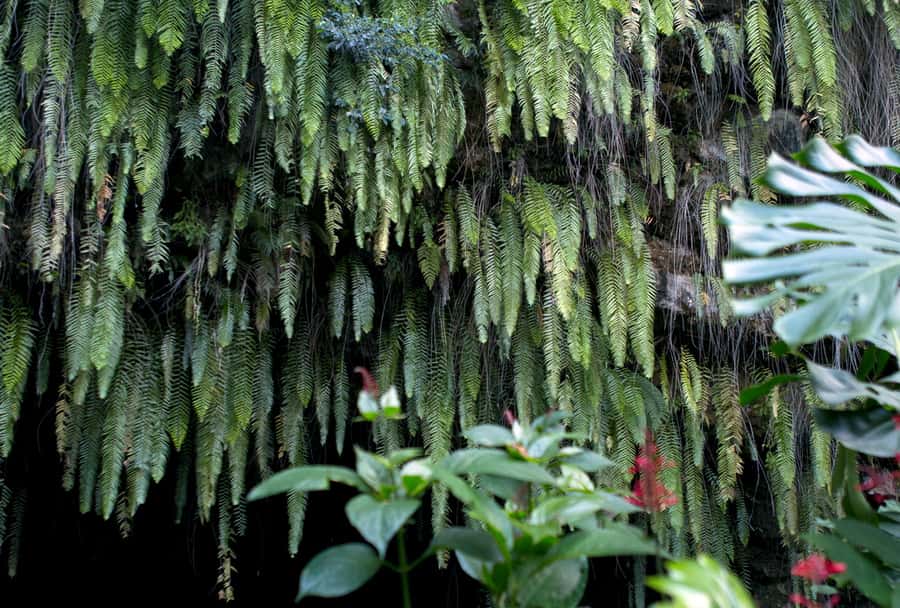 Tahiti: Private Half Day Culture and Nature Highlights Tour - Why this short Tahiti tour works well