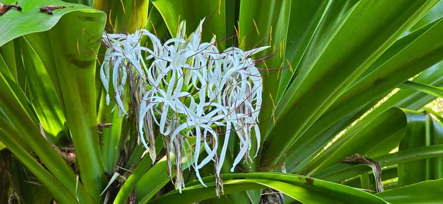 Tahiti: Private Half Day Culture and Nature Highlights Tour - Cooling off at the Maraa Caves