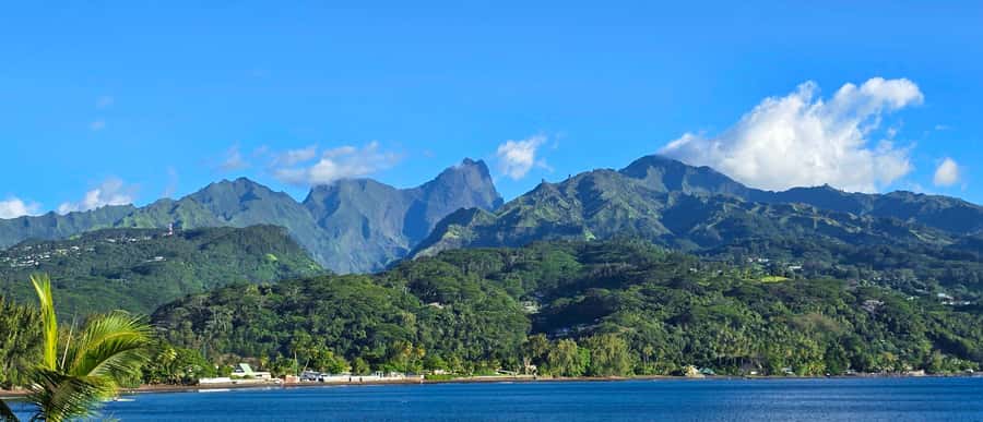 Tahiti Private Half Day Tour. Nature, history and culture - Five useful things to know before you book