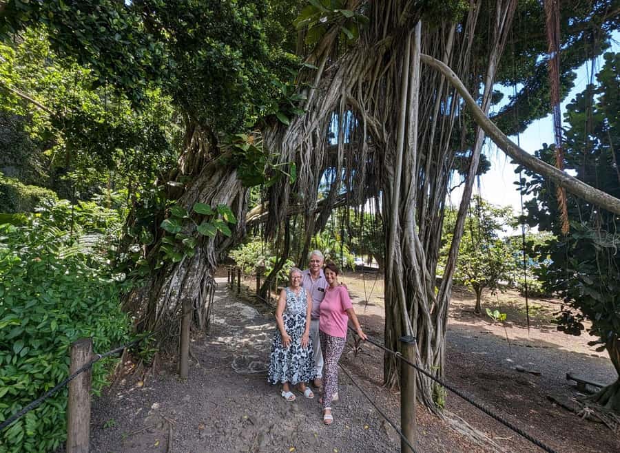 Tahiti Private Half Day Tour. Nature, history and culture - Point Venus and Matavai Bay, when the route allows
