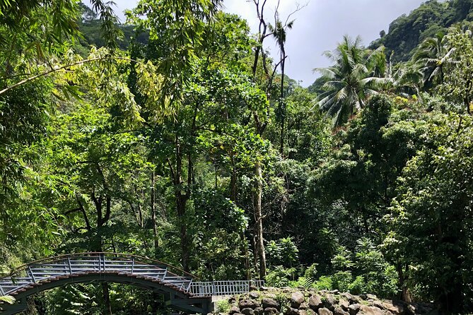 Tahiti: Tour of the East or West Coast (Half Day) - Is $550 a fair price?