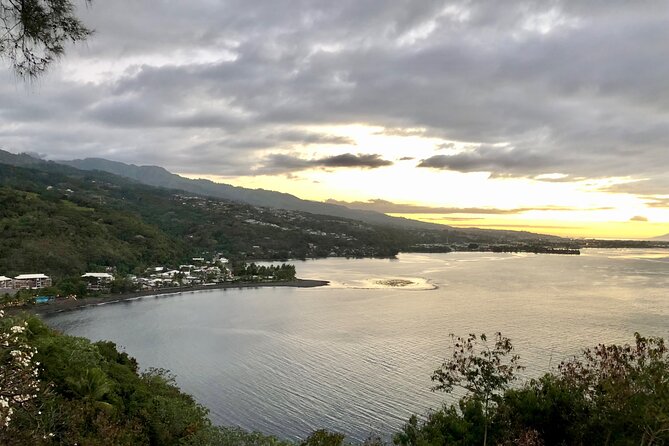 Tahiti: Tour of the East or West Coast (Half Day) - Who will enjoy this tour most?