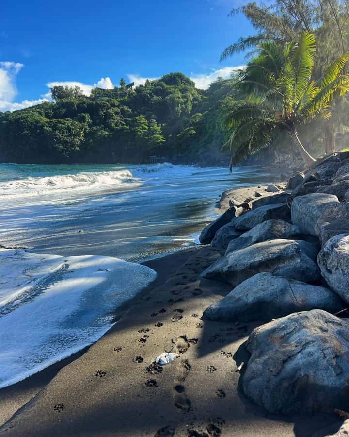 Tahiti: Unique East Coast Half Day Tour with Local Guide - Why this east coast tour is worth your time
