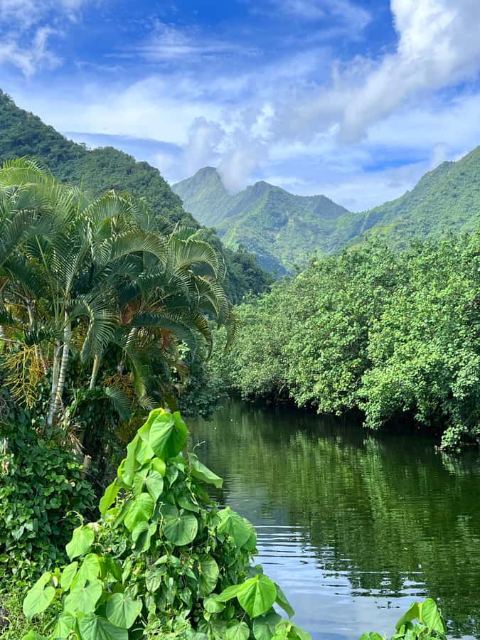 Tahiti: Unique Full Day West Coast, Combo Tour to Teahupoo - Teahupo’o, where the coast turns dramatic