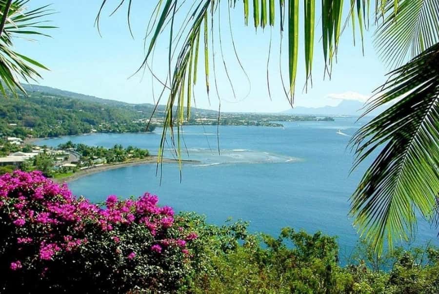 Tahiti: West and East Coast Island Tour with Waterfalls - Key points to know before you go