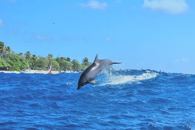 The Blue Lagoon by private boat - Why this private Rangiroa outing is worth considering