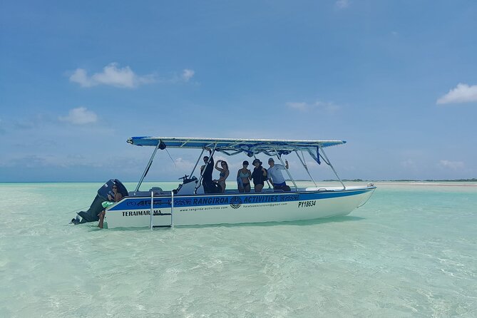 The Blue Lagoon by private boat - 8:00 to 9:15: pickup, dolphins, and the Tiputa coral garden