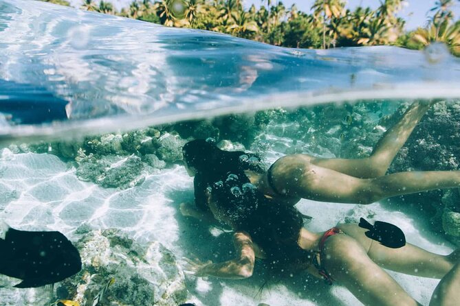 The Vanilla tour of Taha'a in a comfortable outrigger canoe - The Coral Garden Is the Day’s Water Highlight