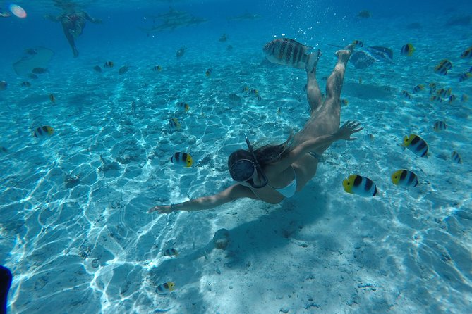 Toa Boat Bora Bora Private Lagoon tour On Ambassador Boat - Drinks, music, and time between swims