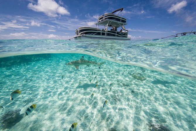 Toa Boat Bora Bora Private Lagoon tour On Ambassador Boat - How the experience suits families and groups