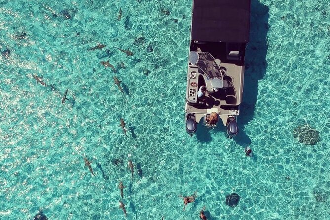 Toa Boat Bora Bora Private Lagoon tour with Lunch on Entertainer Bar Boat - A fresh lunch cooked in the lagoon