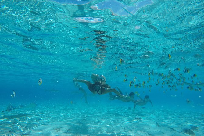 Toa Boat Bora Bora Private Lagoon tour with Lunch on Entertainer Bar Boat - What the guide adds to the day