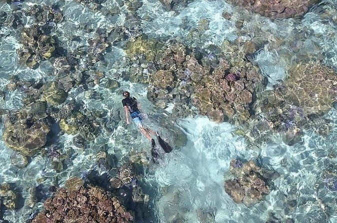 Tohora Bora Bora Snorkeling Lagoon Tours - Whale season and the Tohora name