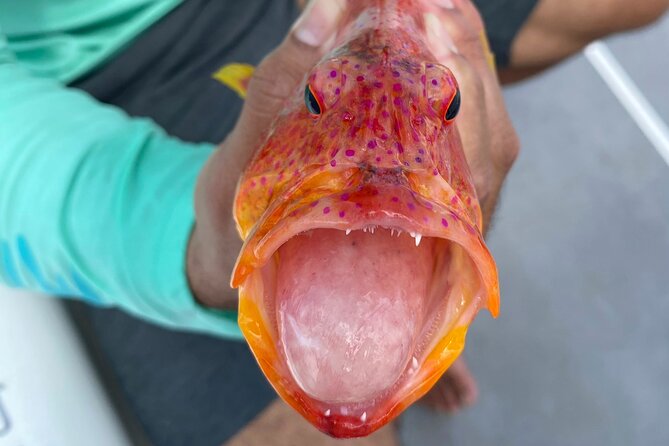 Unique in Raiatea: discover the lagoon, fish, cook, enjoy! - Domaine Pari Pari and the slower side of the route