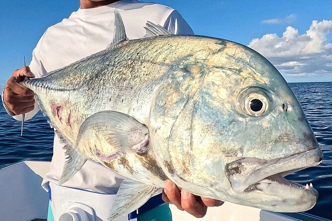 Unique in Raiatea: discover the lagoon, fish, cook, enjoy! - What the 340 dollar price buys you