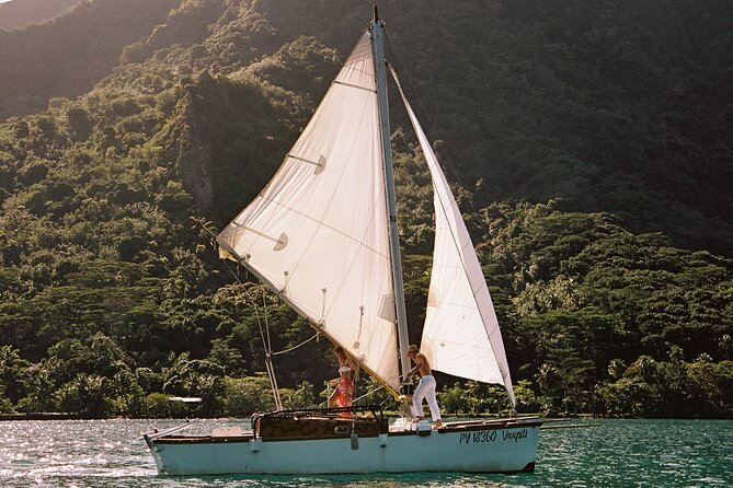 Vaapiti private sunset - Snorkeling among turtles, rays, sharks, and coral gardens