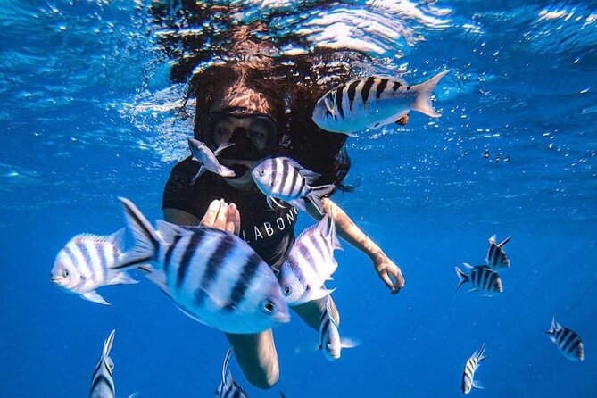 Want to escape? Treat yourself to a snorkeling session in Tahiti! - Five things to know before boarding Kaoriki