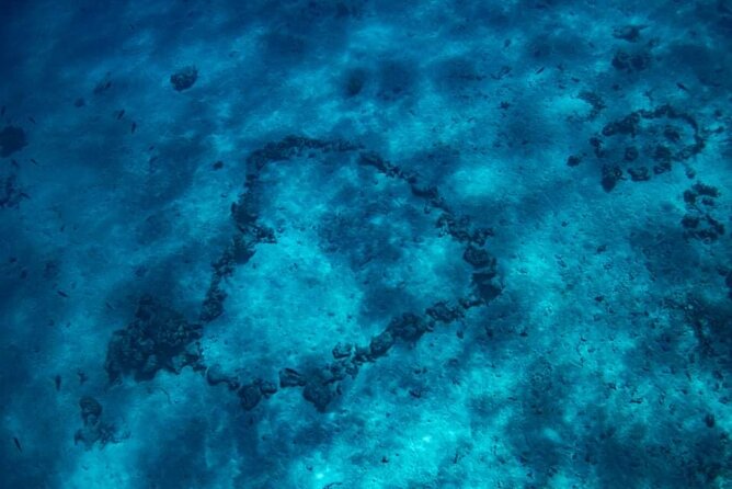 Want to escape? Treat yourself to a snorkeling session in Tahiti! - What is included for the $120 price