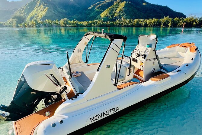 Watch and Swim with Humpback Whales in Moorea - Who will enjoy this Moorea whale swim?