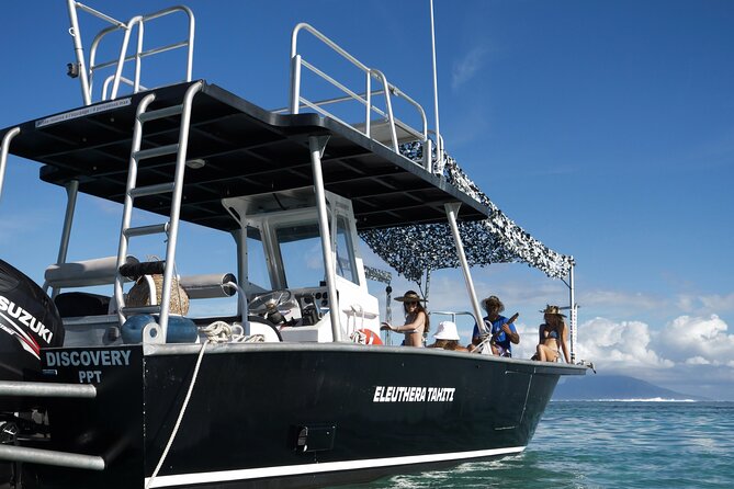 Whale Watching Activity - Small groups make a real difference