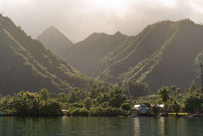Whale watching DE Tahiti Peninsula - Watching from the boat comes first
