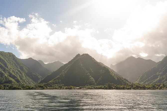 Whale watching DE Tahiti Peninsula - Animal welfare and approach rules