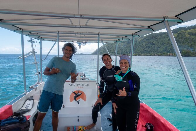 Whale watching on the preserved and quiet coast of Paea (Pk26) - Guides, language, and the feel of the outing