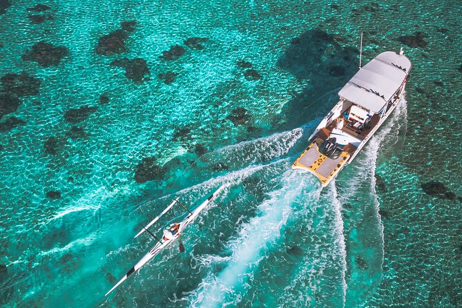 Whale Watching Shared Half Day - What the boat setup means for you