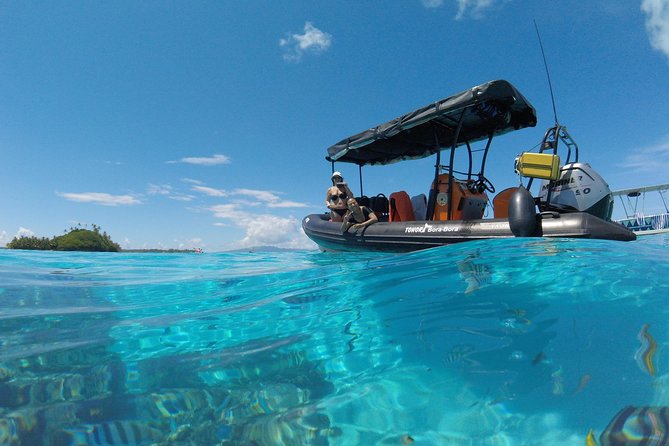 Whale Watching Tours in Bora Bora - The 3.5-hour ocean outing