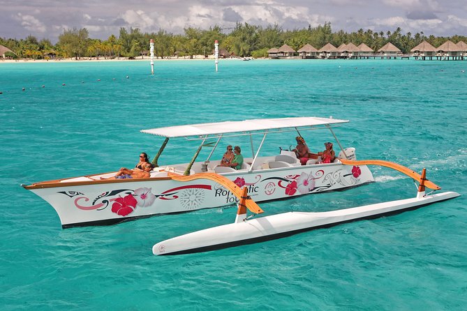 Whale Watching Tours in Bora Bora - Is $305.30 good value?