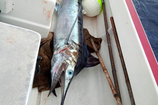 Wholesale Fishing in Poti Marara at Tahiti Teahupoo Peninsula - How the private format changes the morning